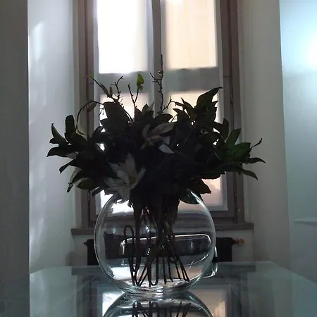 Crystal Apartment